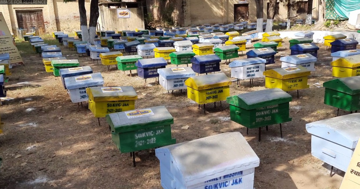 J-K: 800 bee boxes distributed among farmers in Kathua under Honey Mission Programme